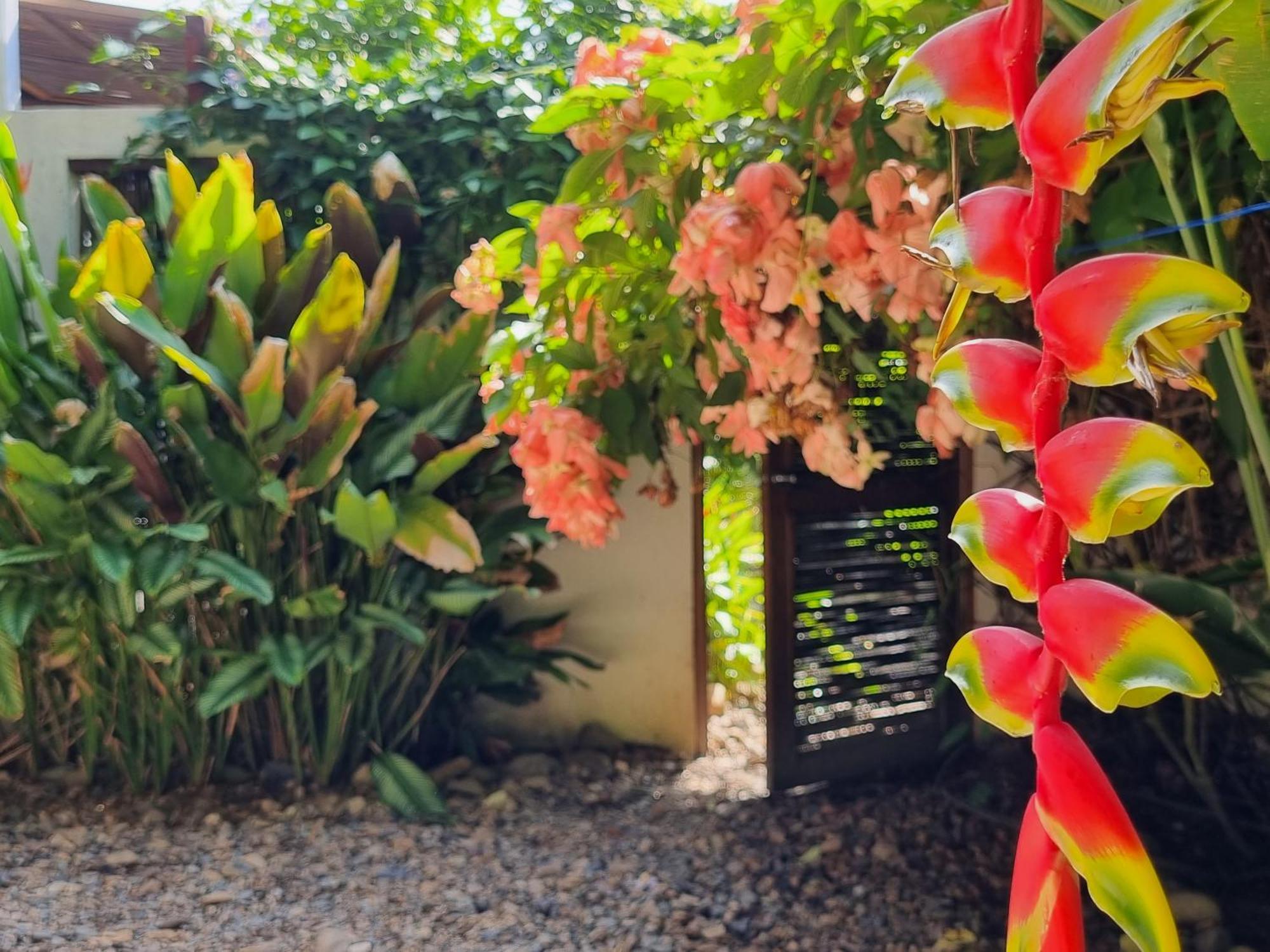 Casas La Floristeria Villa Palomino Luaran gambar